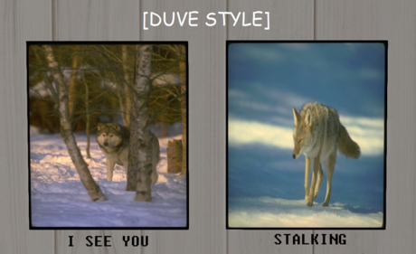 Second Life Marketplace - [DS] I SEE YOU + STALKING